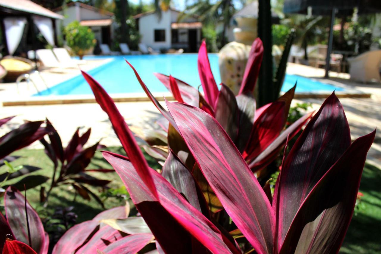 Hotel E Pousada La Dolce Vita Canoa Quebrada Luaran gambar
